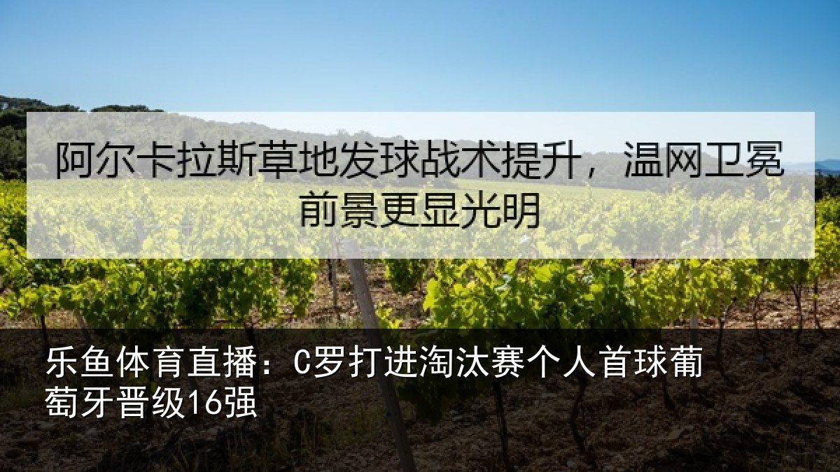 乐鱼体育直播：C罗打进淘汰赛个人首球葡萄牙晋级16强