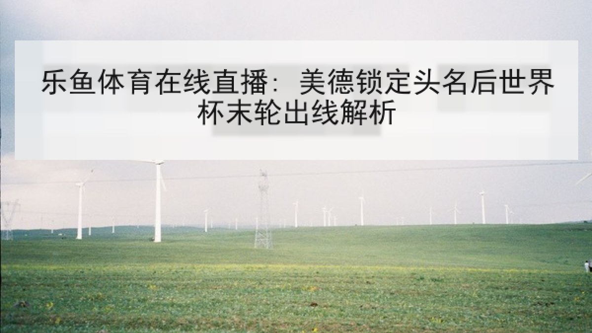 乐鱼体育在线直播: 美德锁定头名后世界杯末轮出线解析