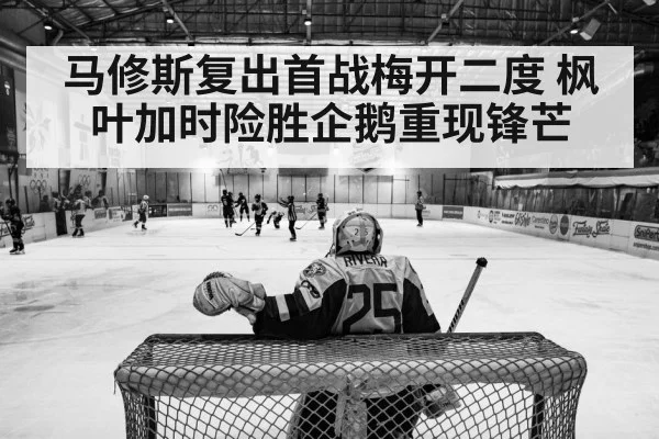 hockey arena action